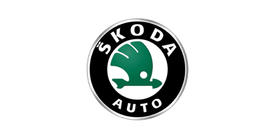 Чехол для Skoda